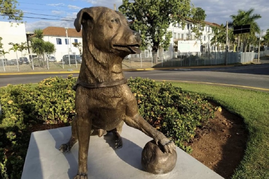Cachorro é homenageado com estátua em SP; saiba motivo