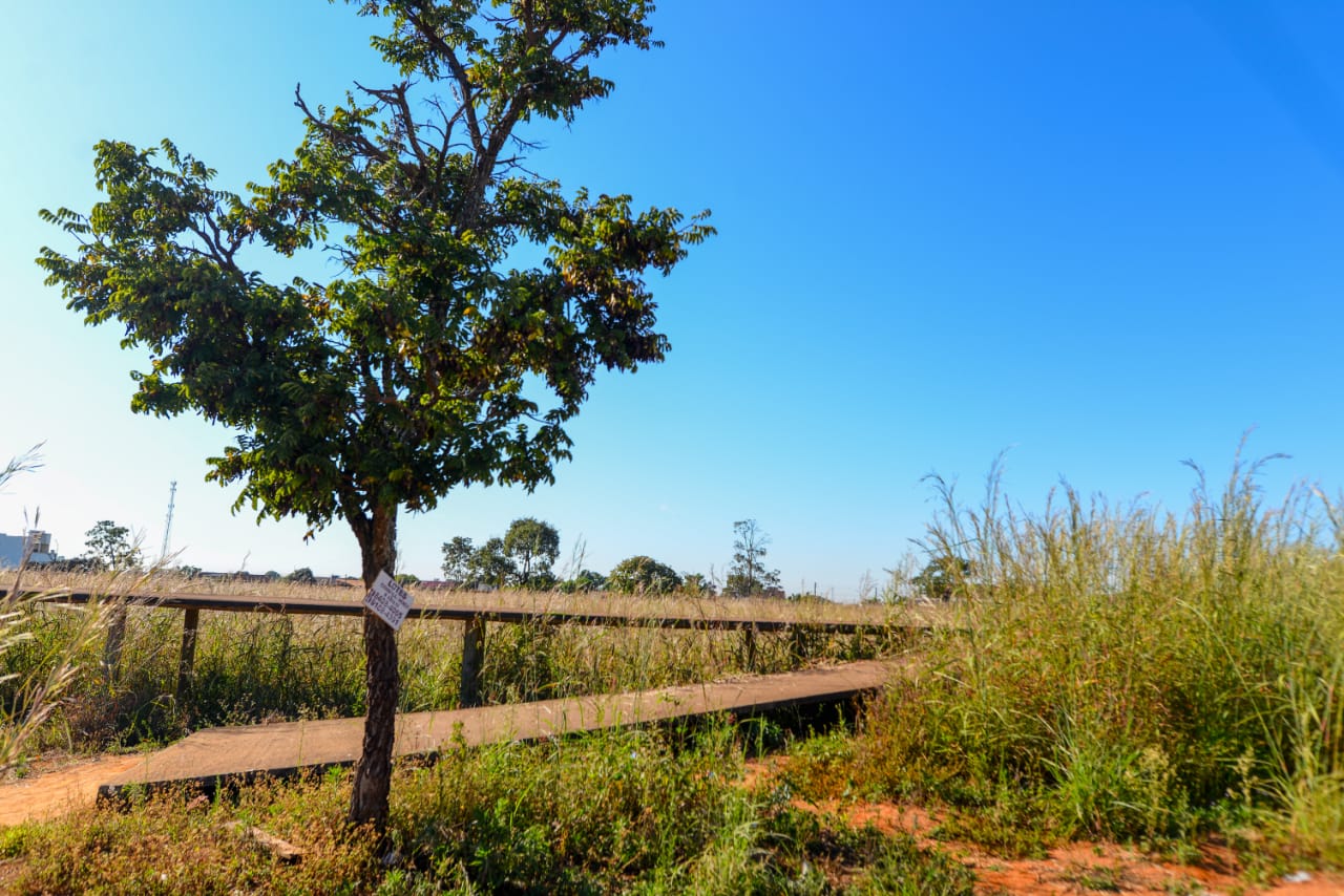 Abandono do Monumento às Nações Indígenas, em Aparecida (Foto: Jucimar de Sousa/MaisGoiás)