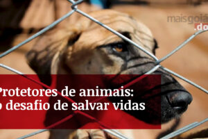 Mais Goiás.Doc revela cotidiano dos protetores de animais em Goiânia