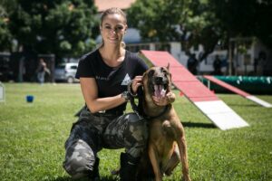 Morre cachorro parceiro de Paolla Oliveira em 'A Força do Querer'