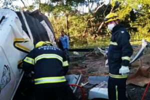 O motorista de um caminhão morreu após colidir o veículo carregado com bovinos contra uma árvore, na GO-241, em Minaçu