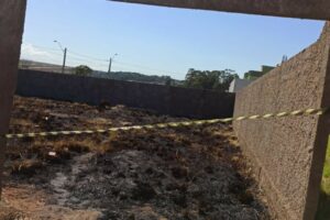 MP-GO denúncia mulher suspeita de matar e atear fogo no corpo do filho, em Anápolis