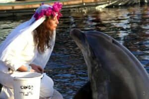 Mulher casada com golfinho marido Sharon Tendler Mulher 'casada' com golfinho lamenta morte do animal: 'Não quero outro marido'