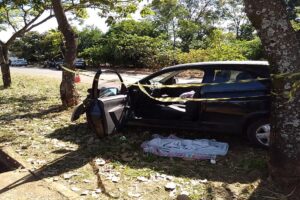 Uma criança de três anos morreu na manhã deste domingo (6), depois que o carro em que ela estava bateu em uma árvore em Goiânia. (Foto: divulgação/Dict)
