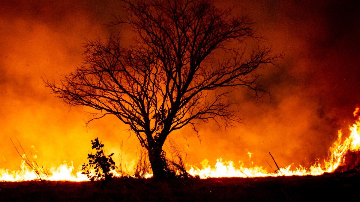Bombeiros de Goiás revelou que, desde 2011 a corporação já atendeu em média 6,5 mil ocorrências de combate a incêndios em vegetação por ano