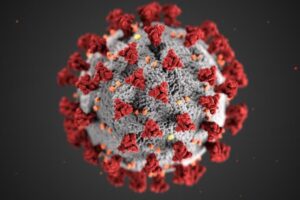 Vírus da Covid é detectado em veado visto nos EUA e no Brasil