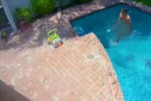 Homem invade casa, nada pelado em piscina e mata aves que estavam na residência, nos EUA - Um homem invadiu uma casa em Bel Air, na Califórnia (EUA) nadou pelado na piscina e ainda matou os periquitos de estimação da família. Tudo isso enquanto o dono