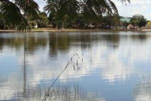 Criança sofre ataque de jacaré em lagoa de Porangatu