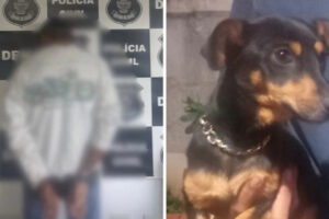 Um homem foi preso suspeito de praticar zoofilia contra duas cadelas, de médio e pequeno porte, em Goianira. Vídeo mostra ato sexual