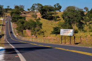 Trecho restaurado da rodovia GO-414, entre Bela Vista e Roselândia (Foto: Governo do Estado)