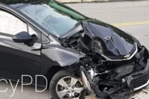 Motorista perde controle e bate carro após cigarra entrar pela janela