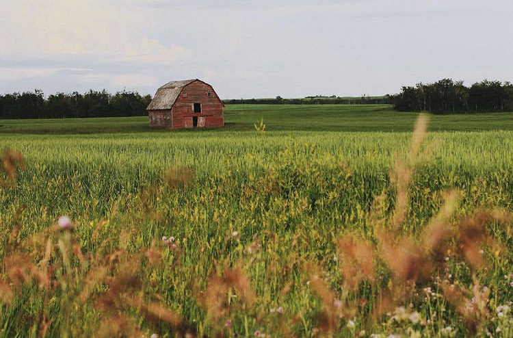 Propriedade rural na província de Shaskatshewan, no Canadá, onde os corpos foram encontrados (Foto: Instagram)