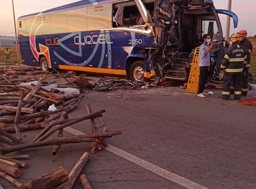 Uma colisão entre um caminhão carregado de madeira e um ônibus de viagens deixou oito pessoas feridas, na GO-020, em Bela Vista de Goiás. (Foto: divulgação)