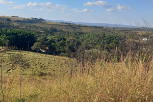 Lázaro pode ter invadido fazenda a 5 km de Girassol; polícia investiga