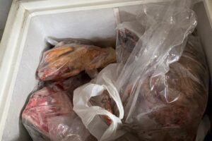 Polícia prende pela 5ª vez suspeito de aplicar 'golpe do frango' em Goiânia