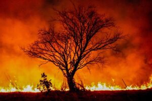 Amazônia tem junho com maior número de focos de incêndio desde 2007