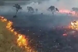 Incêndio atinge vegetação na Chapada dos Veadeiros, em Alto Paraíso; chamas foram controladas