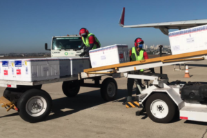Avião com carregamento de vacinas para covid-19 chega em Goiânia (Foto: Governo do Estado)