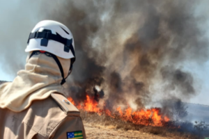 Bombeiros e brigadistas combatem fogo no Parque das Emas (Foto: Bombeiros)