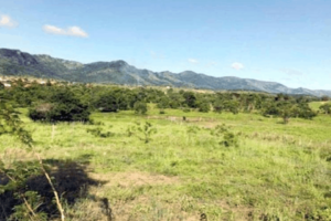 Reintegração de posse de fazenda de São João D'Aliança está prestes a ser cumprido