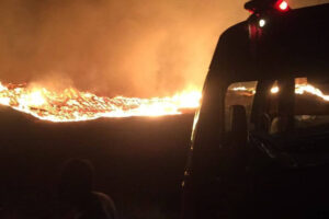 Registro do fogo - Um incêndio agravado por óleo de máquina destruiu mais de uma tonelada de cavaco de eucalipto em Jataí. Máquina agrícola foi destruída