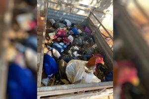 Polícia prende 18 homens suspeitos de participação em rinha de galos, em Itaberaí
