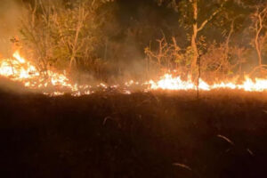(Bombeiros combatem incêndio de 6 km de extensão na zona rural de Pirenópolis)