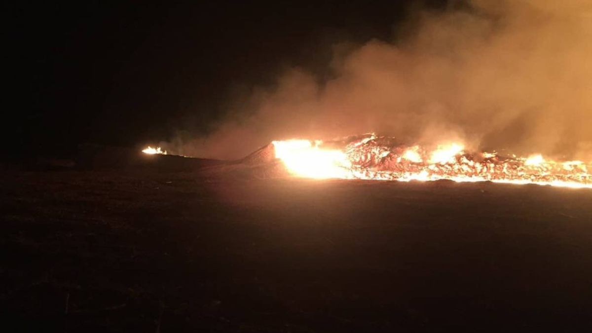 Incêndio iniciado por óleo de máquina destrói 1.5 tonelada de cavaco de eucalipto em Jataí