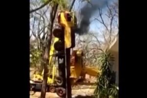 Guincho tomba ao retirar árvore de praça, em Itumbiara; vídeo