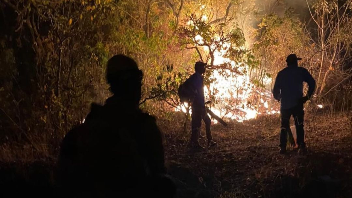 (Bombeiros combatem incêndio de 6 km de extensão na zona rural de Pirenópolis)