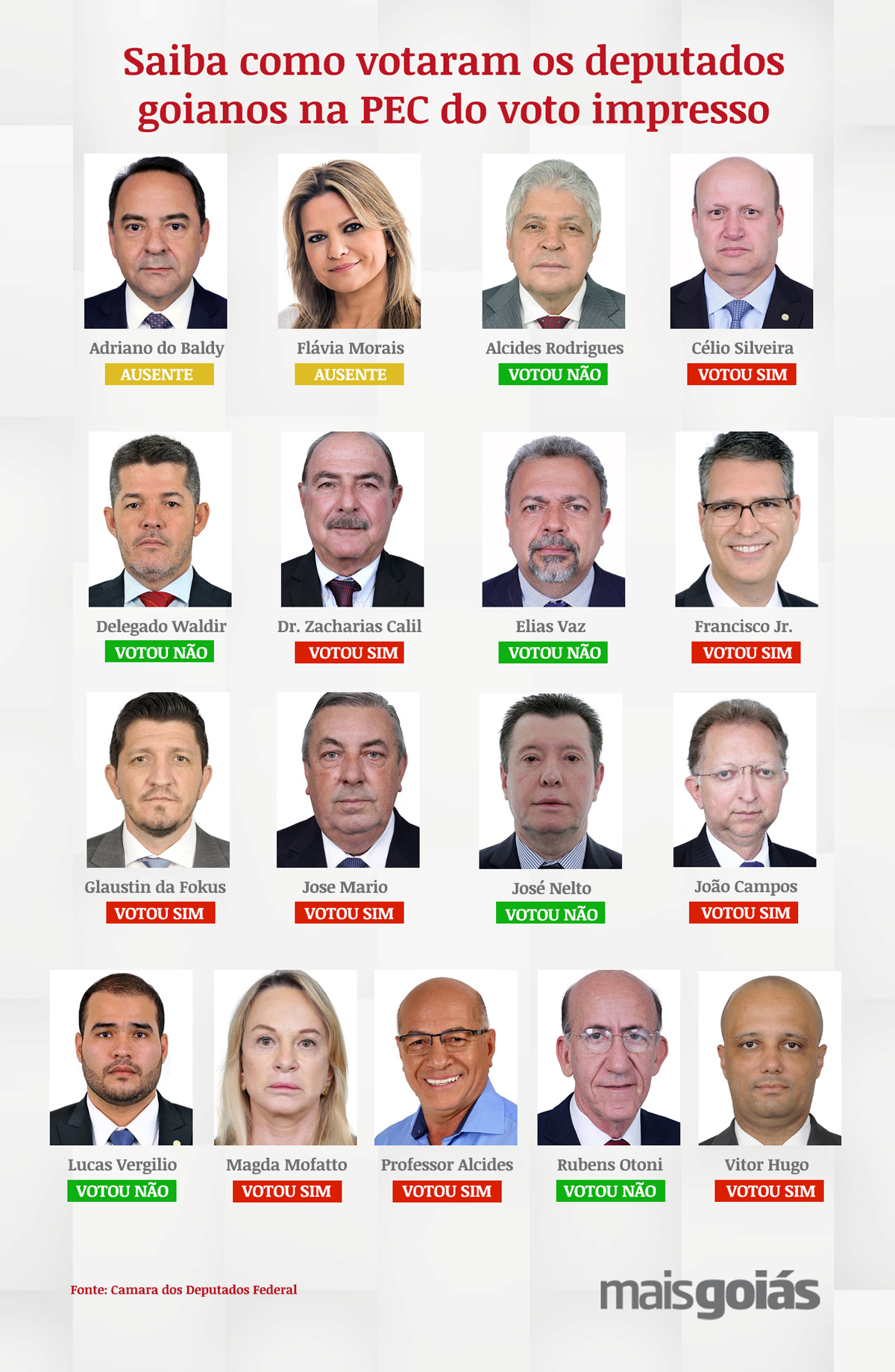 15 deputados federais por Goiás participaram da votação para analisar o voto impresso. Confira: