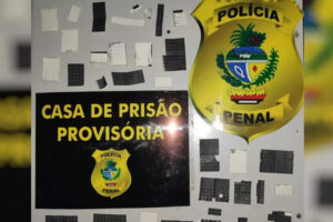 Droga encontrada entre fatias de pão que mãe levava para detento é falsa, diz perícia (Foto: Polícia Civil/Divulgação)