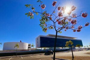 Centro Cultural Oscar Niemeyer ganha mudas de ipê para embelezar seu espaço