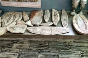 68 fósseis roubados de museu são achados com padre investigado por furto no RN