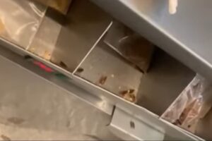 Vídeo mostra baratas em quiosque de sorvete do McDonald's no PI