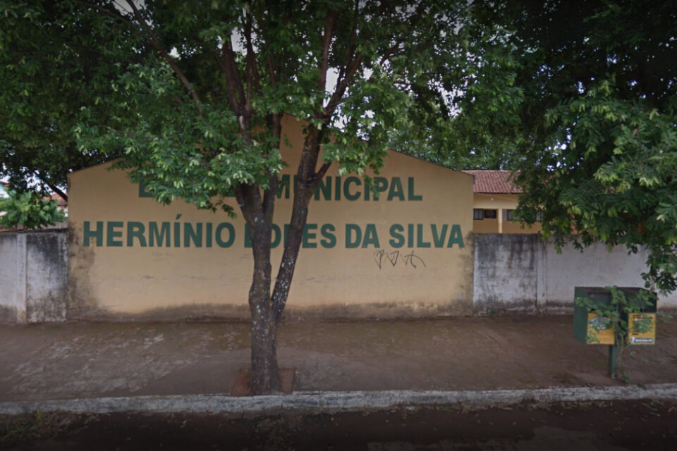 Ladrão furta ingredientes da merenda em escola de Goianésia (Foto: Divulgação)