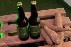 Iporá vai produzir mandioca para fazer cerveja de Goiás
