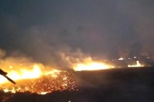 Bombeiros, brigadistas e voluntários combatem o Incêndio no Parque Terra Ronca (Foto: Divulgação - CBMGO)