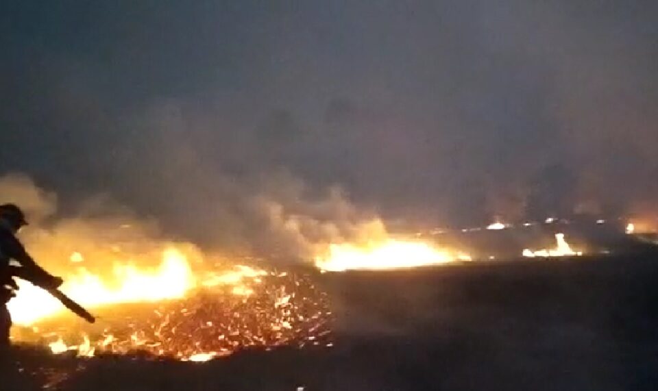 Bombeiros, brigadistas e voluntários combatem o Incêndio no Parque Terra Ronca (Foto: Divulgação - CBMGO)