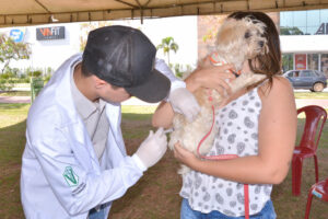 Vacinação antirrábica gratuita em cães e gatos começa neste sábado (11) (Foto Enio Medeiros - SecomAparecida)