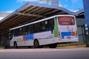 Nova linha de ônibus ligará bairro Vera Cruz ao Detran e ao Setor Campinas: entenda