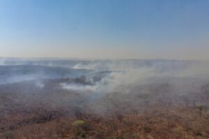 Incêndio consumiu 15% do Parque Estadual da Terra Ronca