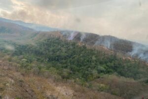 Incêndios florestais tem aumento de 8,4% em comparação ao mesmo período de 2020 em Goiás