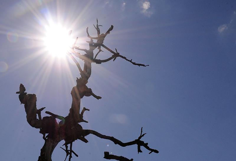 Goiânia quebra recorde calor do ano e marca 38,5ºC nesta terça (7)