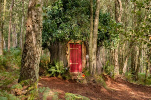 A casa na árvore do Ursinho Pooh poderá ser alugada na Inglaterra via aplicativo AirBnb. Inspiração veio de ilustrador de livros infantis