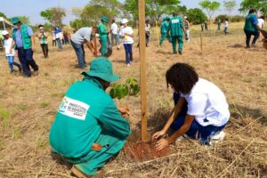 No dia da árvore, a Prefeitura de Goiânia lançou um programa para plantar 46 mil mudas nativas do Cerrado, na capital. (Fotos: divulgação/Amma)