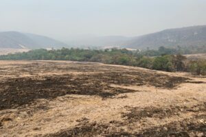Área atingida por incêndio na Chapada dos Veadeiros aumentou de 23 para 36 mil hectares em dois dias