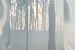 Bombeiros combatem incêndio próximo ao pátio da JBS, em Goiânia