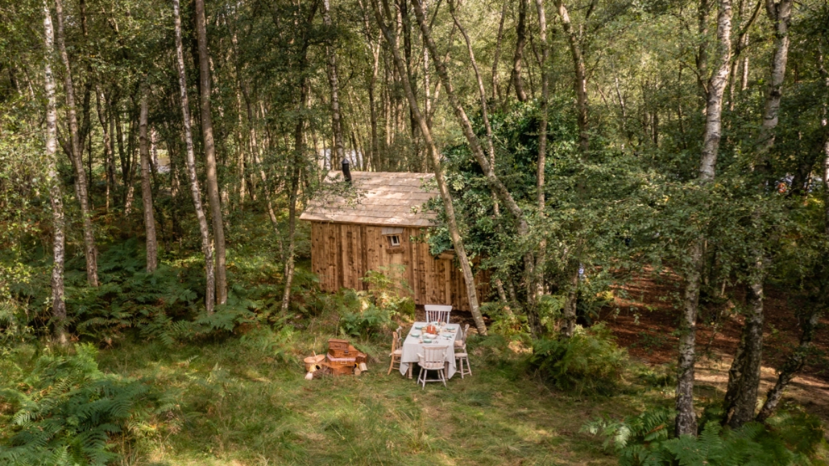 Casa na árvore do Ursinho Pooh poderá ser alugada na Inglaterra: confira fotos
