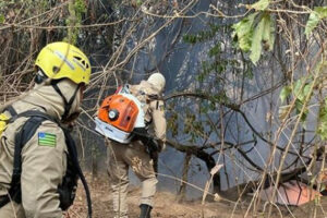 Bombeiros extinguem fogo às margens da Serra de Jaraguá